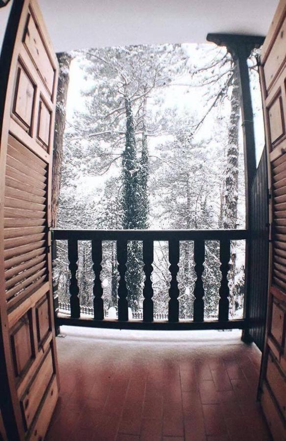 Milionis Forest Hotel Grevena Esterno foto