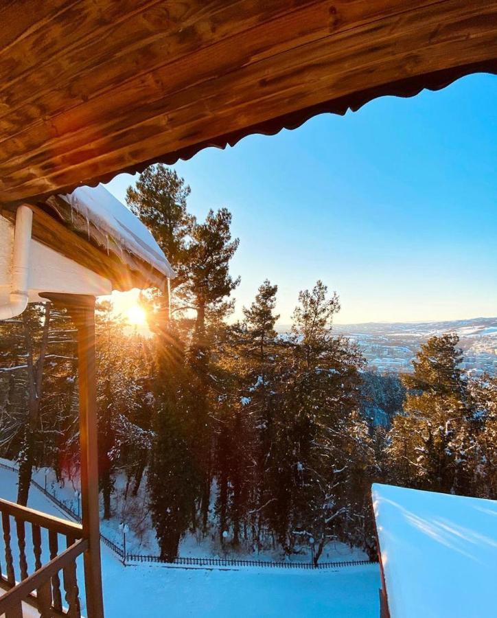 Milionis Forest Hotel Grevena Esterno foto